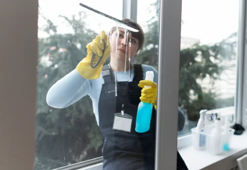 Nettoyage de vitres intérieures et extérieures à Trizay-Coutretot-Saint-Serge